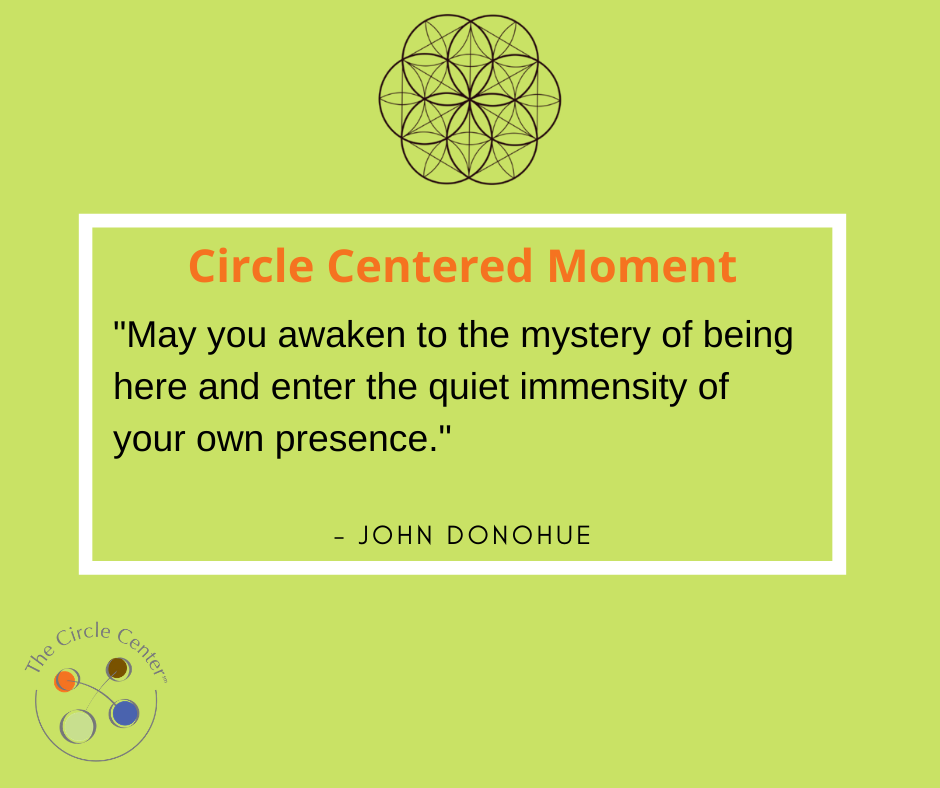 Circle Center Consulting, Immense Presence, Peer Coaching, Team Building